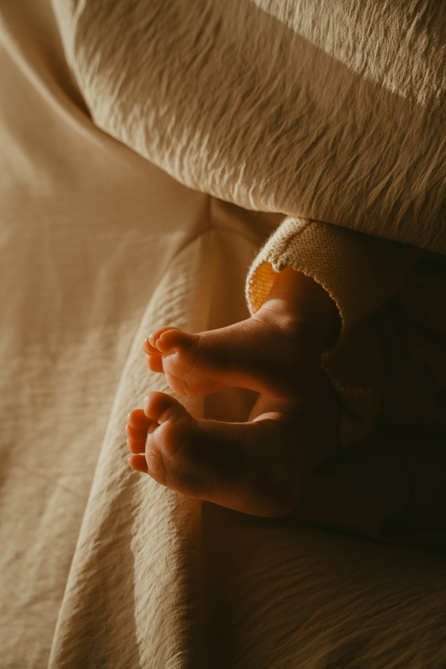 naissance portraits famille photographe melissa toulouse