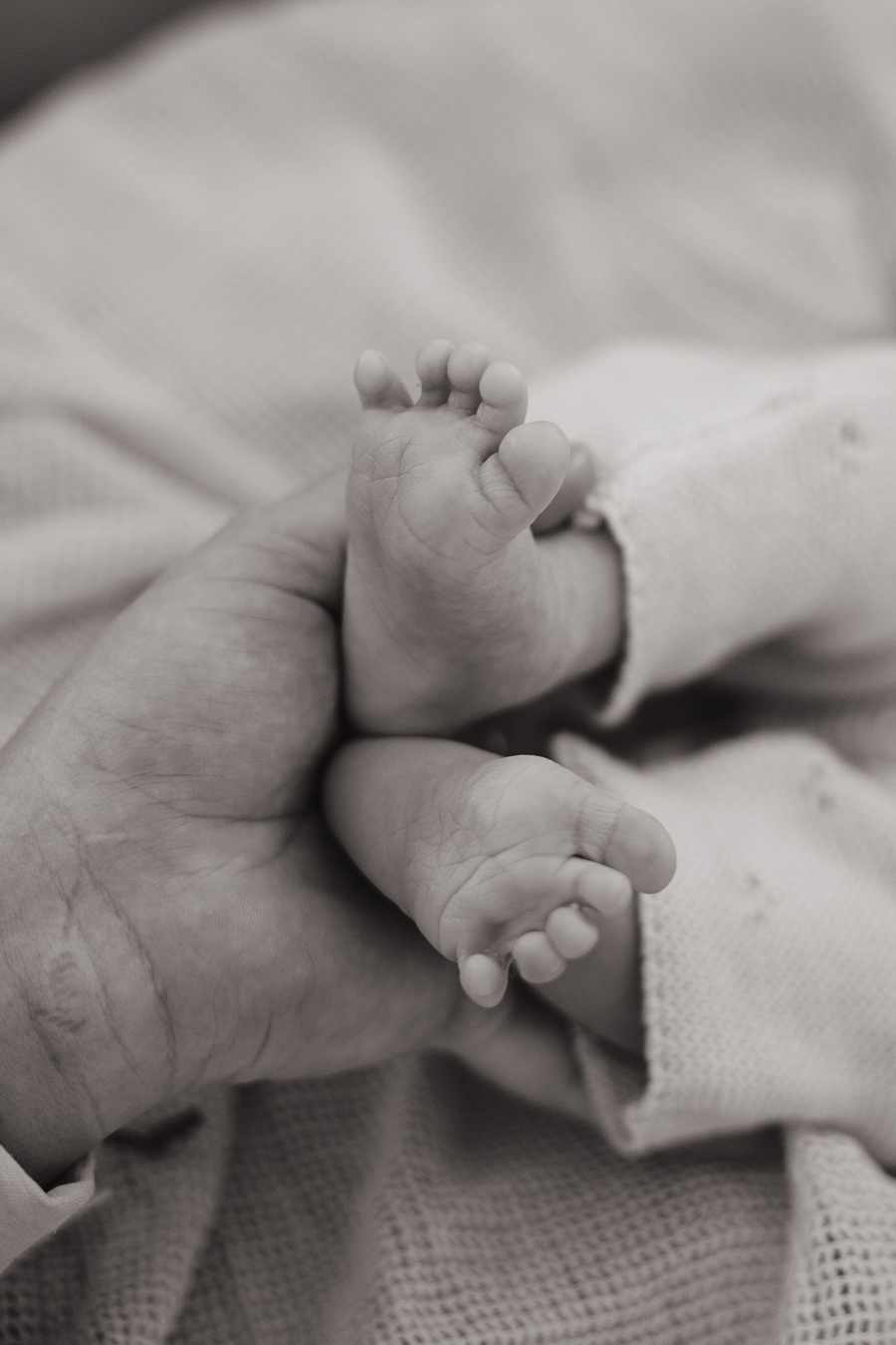 naissance portraits famille photographe melissa toulouse