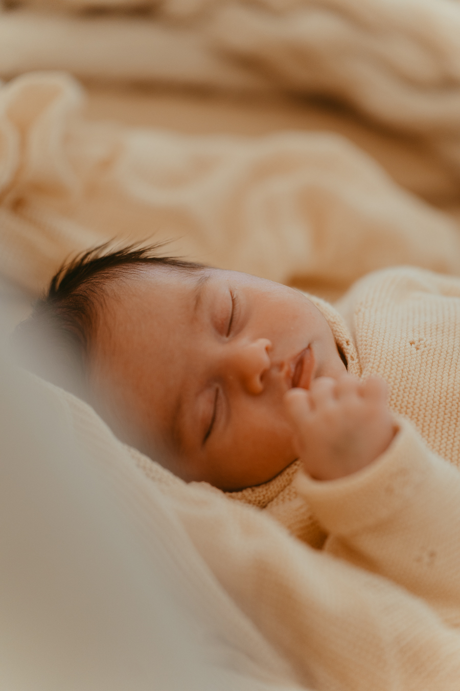 naissance portraits famille photographe melissa toulouse