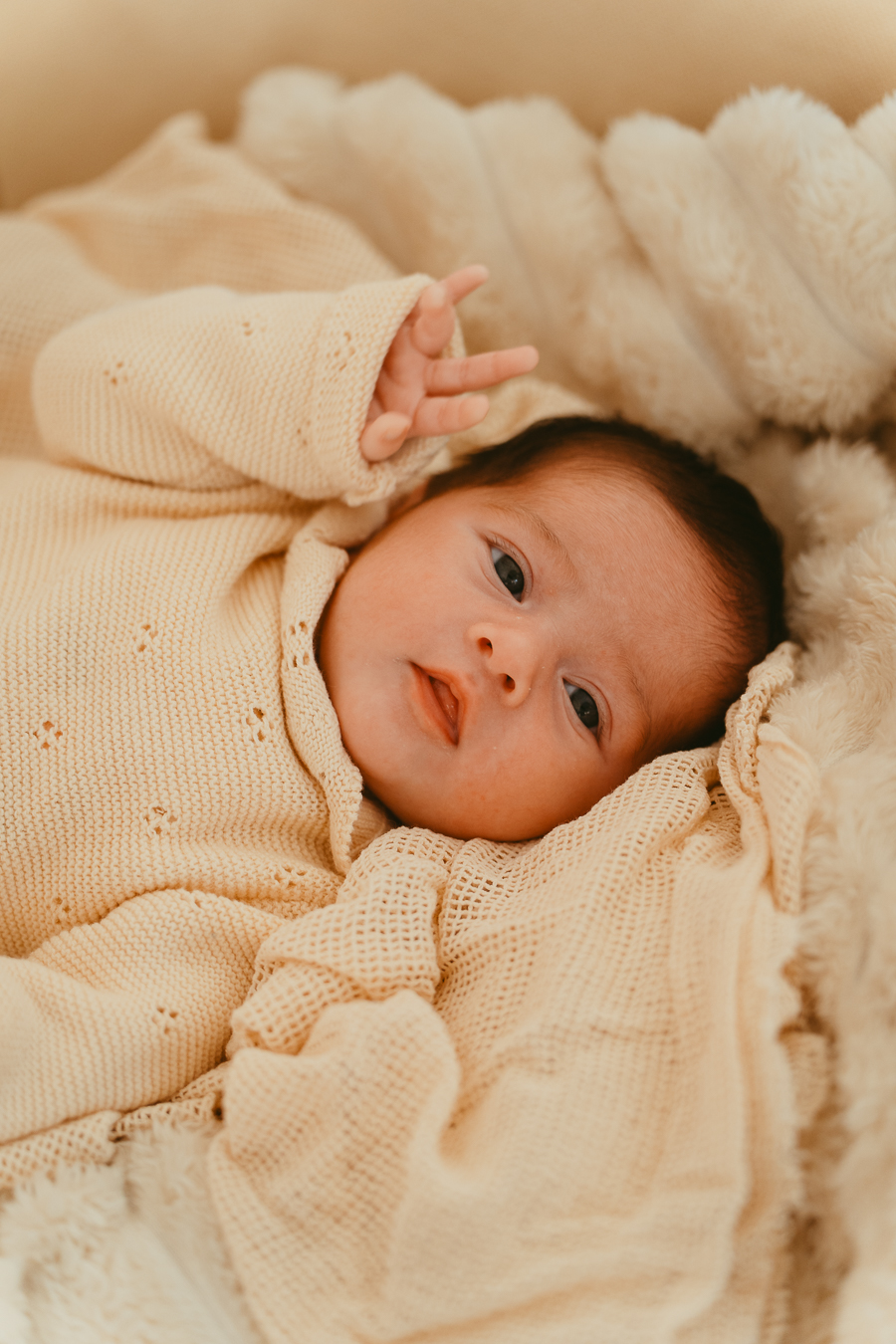 naissance portraits famille photographe melissa toulouse